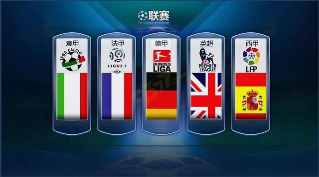 他们提供的